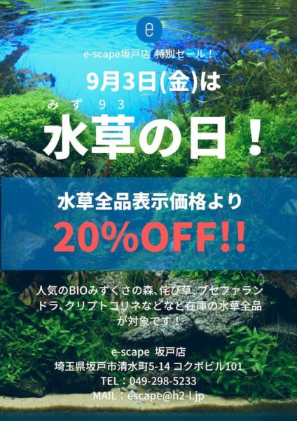 E Scape坂戸店限定セール 9月3日 金 は くさの日 ということで 水草を全品 Offにて販売いたします 有 エイチ ツー